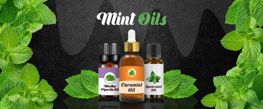 Discover the Benefits of Peppermint Oil and Its Variations for Health and Wellness